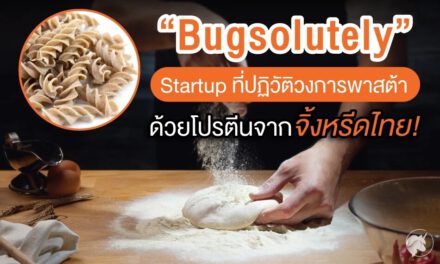 “Bugsolutely” Startup ที่ปฏิวัติวงการพาสต้าด้วยโปรตีนจากจิ้งหรีดไทย!