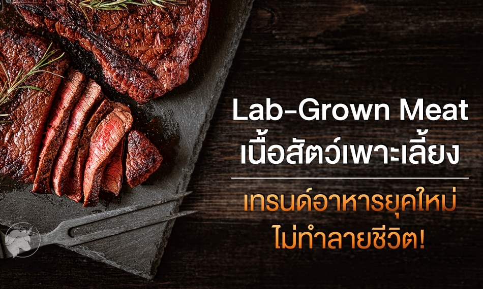 ‘Lab-Grown Meat – เนื้อสัตว์เพาะเลี้ยง’ เทรนด์อาหารยุคใหม่ ไม่ทำลายชีวิต!