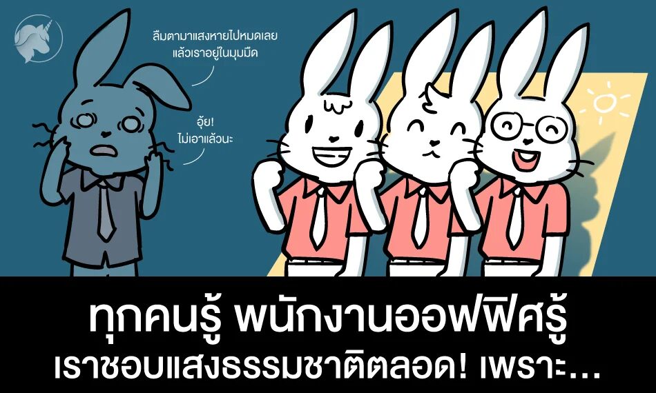 ทุกคนรู้ พนักงานออฟฟิศรู้ เราชอบแสงธรรมชาติตลอด! เพราะ…