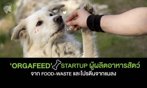 ‘Orgafeed’ Startup ผู้ผลิตขนมสัตว์จาก Food-Waste และโปรตีนจากแมลง