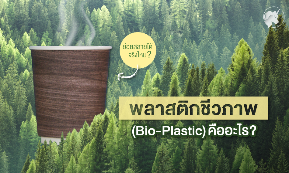 พลาสติกชีวภาพ (Bio-plastic) คืออะไร? ย่อยสลายได้จริงไหม?